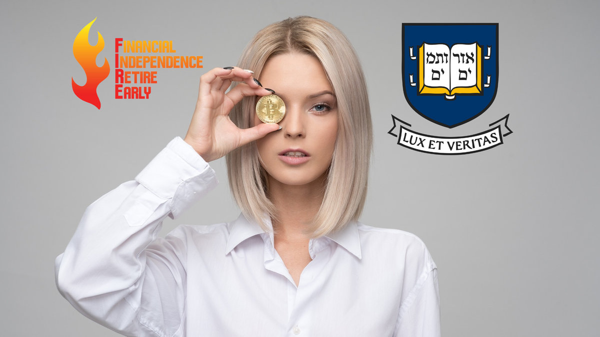מודל הקצאת הנכסים של סוונסון